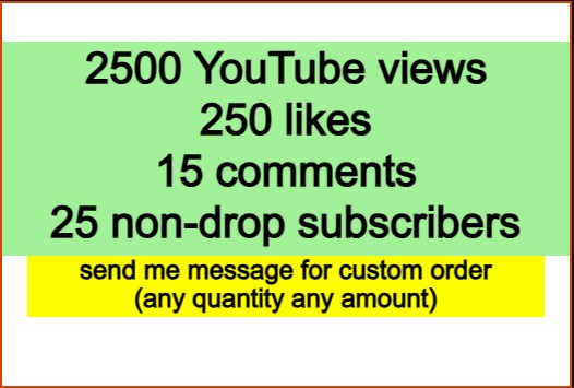 2500 YouTube views 250 likes 15 comments with 25 non-drop subscribers