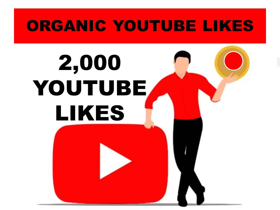 2,000 YouTube Likes
For your video, Non drop