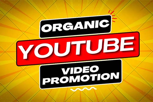 I will do organic YouTube video promotion and channel growth
