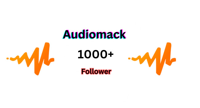 You will get 1000+Audiomack  Follower  100% genuine, non-drop, and organic