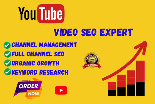 I will do YouTube channel management and video optimization.