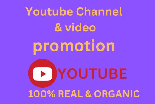I will do youtube channel promotion for organic growth