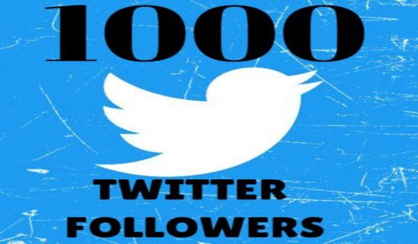 I send you 1000+ twitter followers