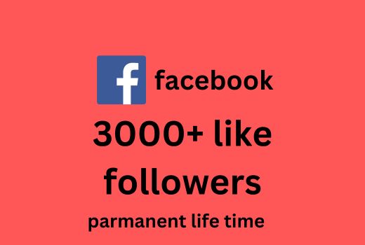 You will get 3000+ Organic Facebook Like & Followers Permanent Life Time