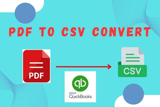 I will convert image, PDF to excel, CSV