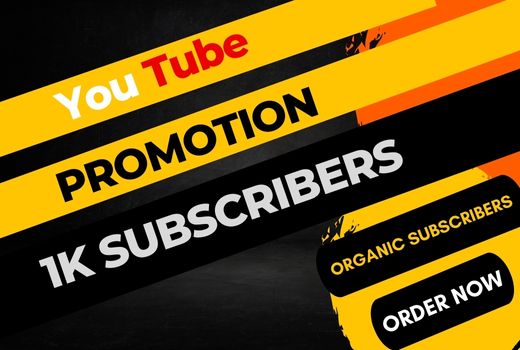 I will Growth your YouTube channel with 1000 organic subscribers
