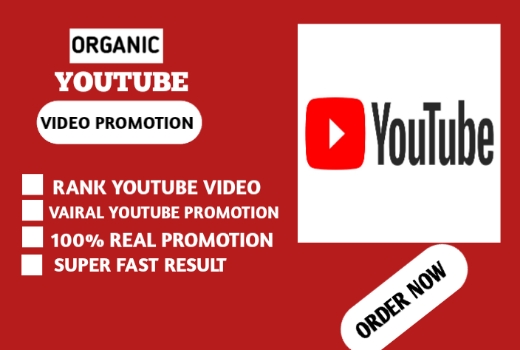 I will do organic YouTube video promotion and seo