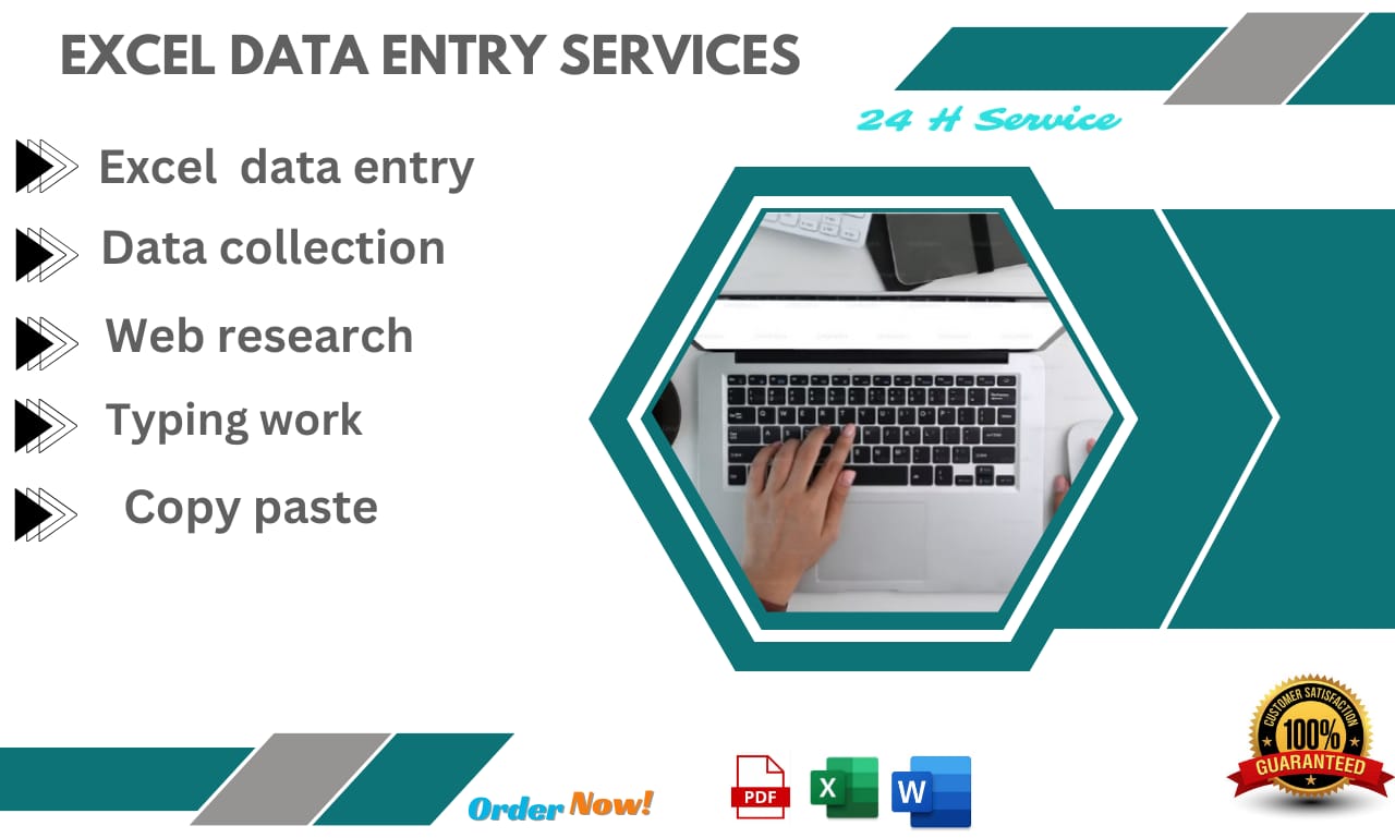 I will do professionsal for Excel data entry.