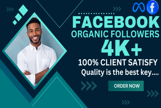 Get 4000+ Facebook Page Likes / Followers, Real user, Non-drop, Lifetime guaranteed