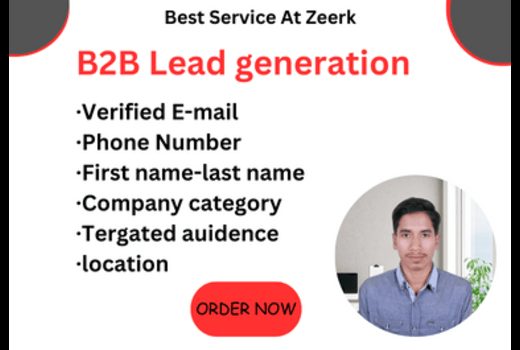 I will do Targeted b2b lead generation and bulk email list