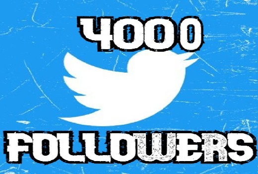 send you 4000 Twitter followers