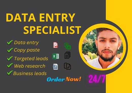 I am a professional data entry,web research,copy paste,Business leads