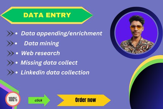 I will do data entry, data mining, data conversion, web research properly