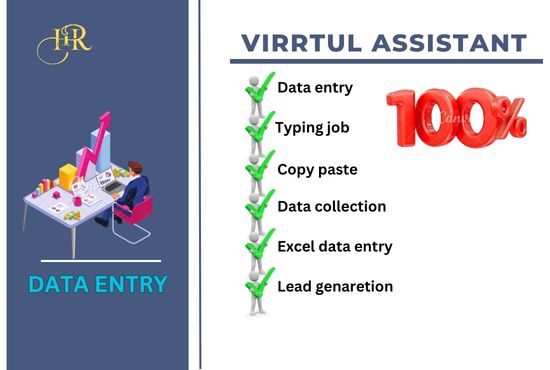 I will do fast any data entry accurately for you