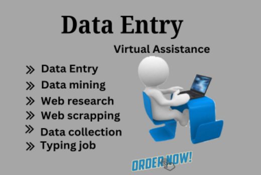 I will perform data entry, data mining, web scraping, and copy pasting as a virtual assistant.