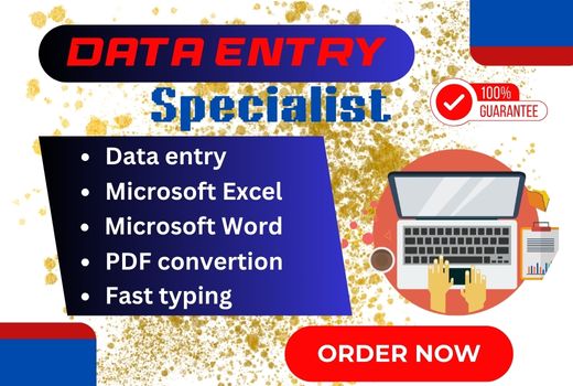 I will do Typing work, data entry, PDF to Word or Excel, data analysis, data cleaning, internet research, etc.