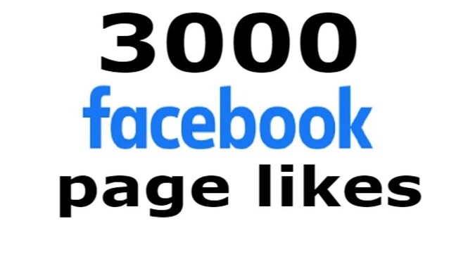 FAST 3000+ FACEBOOK PAGE LIKES, HIGH QUALITY PROMOTION WITH NON DROP GUARANTEED
