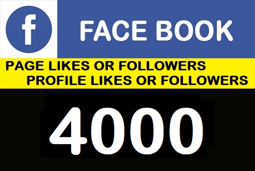 4000 Facebook Page Likes/Followers or Profile/Likes / Followers