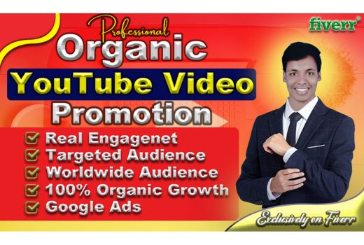 I will do best video SEO and organic youtube video promotion to real audience
