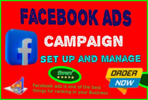 I will set up, and manage Facebook ads campaigns, FB advertising, FB ads.