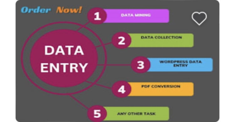 I will do fast any data entry and copy past ,excel data entry,convert PDF typing.