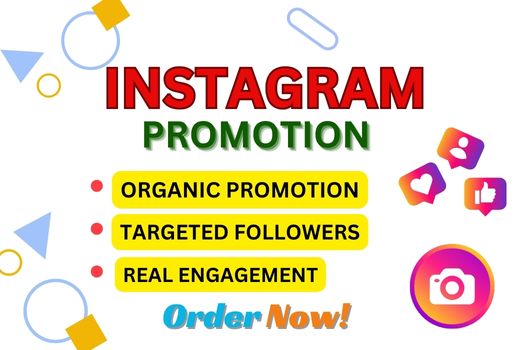 I will do professional Instagram marketing or promotion for organic growth.