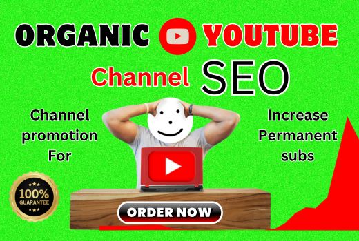 provide elite monthly YouTube SEO service package for organic growth