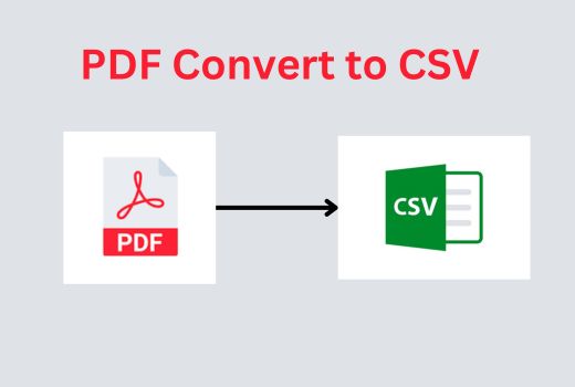 I will convert PDF statements to CSV or qbo  for bookkeeping