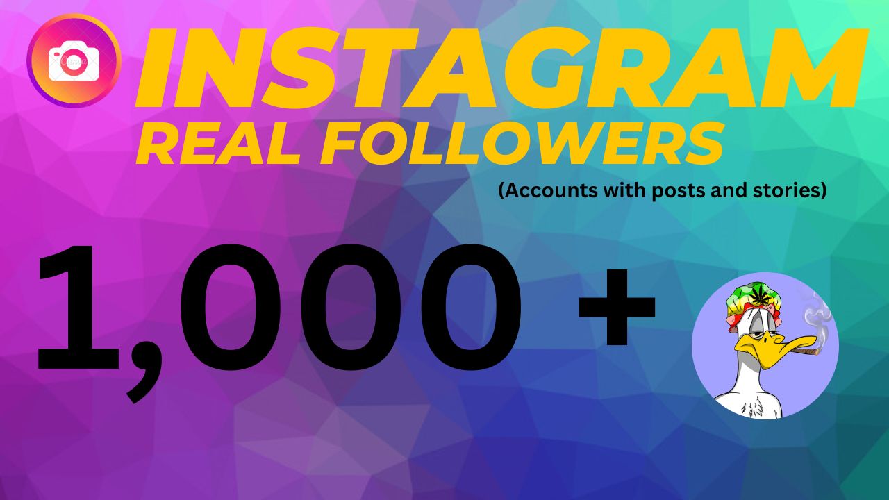 1,000+ Instagram Real Follower Services (Accounts with posts and stories). 100% Guaranteed Non-Drop