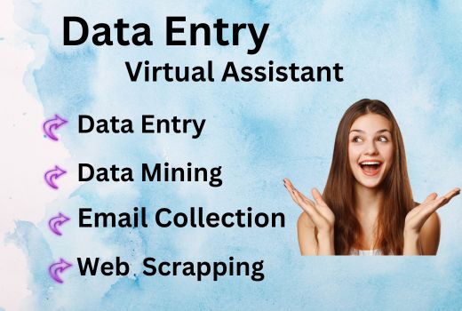 I will perform data entry, data mining, web scraping as a virtual assistant.