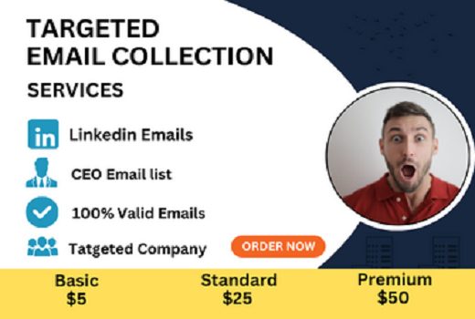 I will collect niche-targeted email lists building bulk email