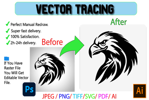 I will redraw, vector trace, re create your logo, or image perfectly, vector tracing.