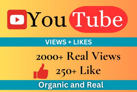 Get 2000+ Nondrop lifetime guaranteed YouTube video Views with 250+ free likes