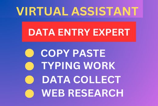 I will do data entry, web scraping, excel, typing, copy-paste work