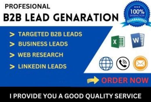 I will do Data Entry, B2B Lead generation and Copy pest
