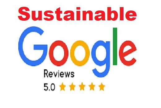 I will provide you Organic 5 High Quality NonDrop Google Reviws