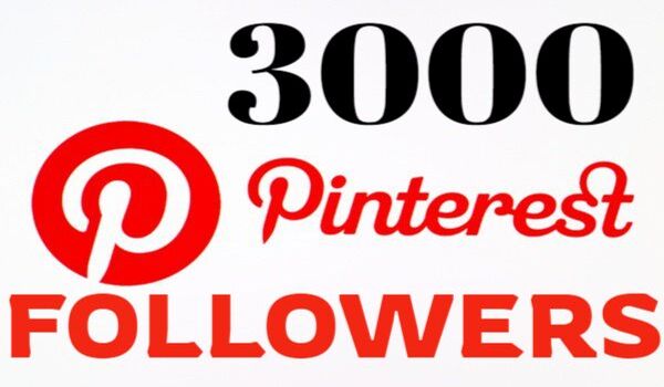 SEND you 3000+ Pinterest followers