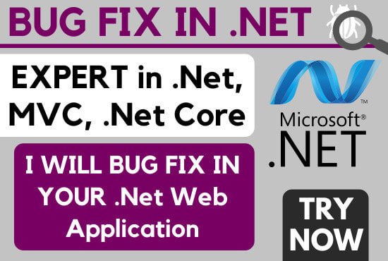 Any bug fixing in your C# ASP.NET and .NET core Project