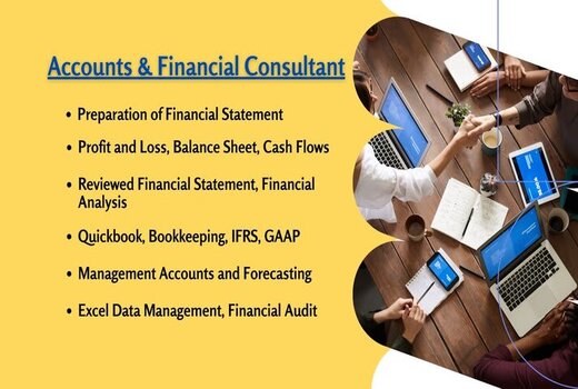 will prepare financial statement, profit n loss, bookkeeping, audit financial