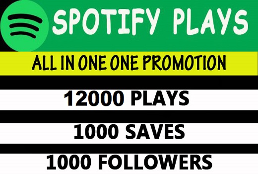 12,000 H.Q  Safe Spotify plays + 1000 followers+ 1000saves