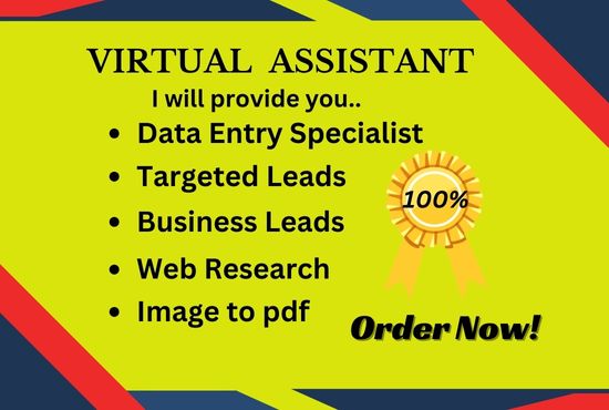 I will be a professional virtual assistant and web research & prospect email list.
