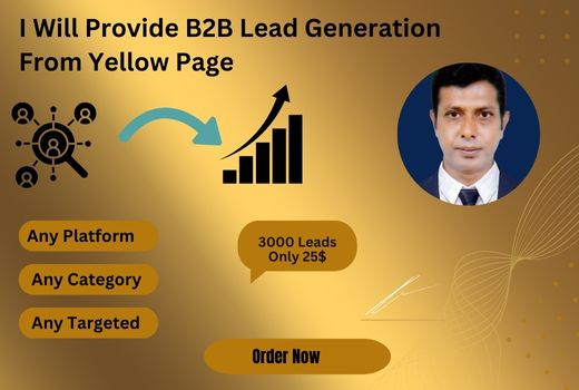 I Will Provide Targeted B2B Lead Generation From Yellow Page and Any Platform