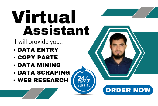 I will furnish Virtual Assistant & Data Entry services to artistry