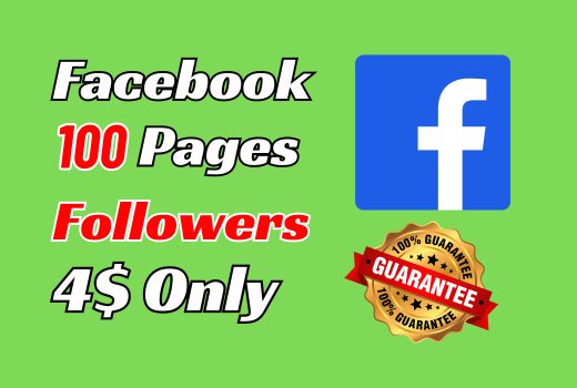 100+ Facebook Fan Page Followers 100% organic with Lifetime warranty