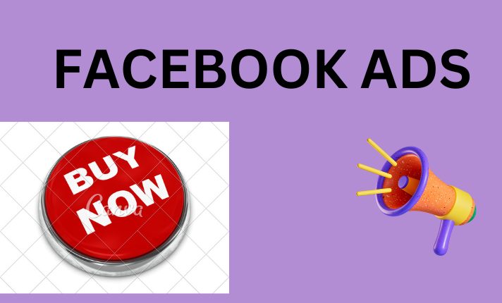 Run facebook ads campaign, marketing, advertising, fb and instagram ad manager