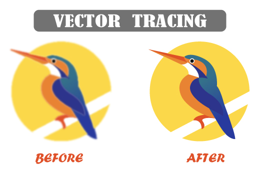 I will do manual vector tracing, convert image to vector within 2 hours professionally