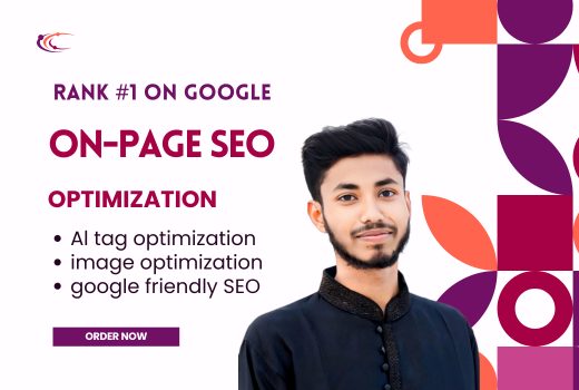 I will Rank on Google 1st page full on-page monthly SEO service