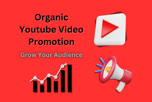 You tube video promotion /Marketing