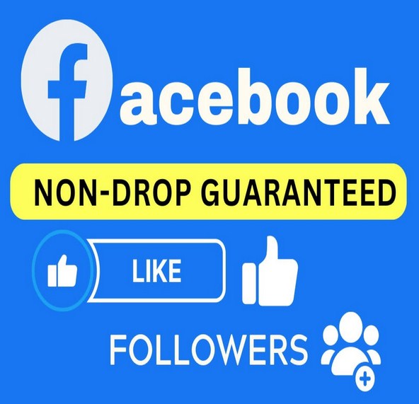 get your business page 10K+ Organic Facebook page LIKE & Followers