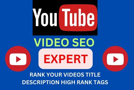 I will do best youtube video SEO expert optimization and channel growth manager